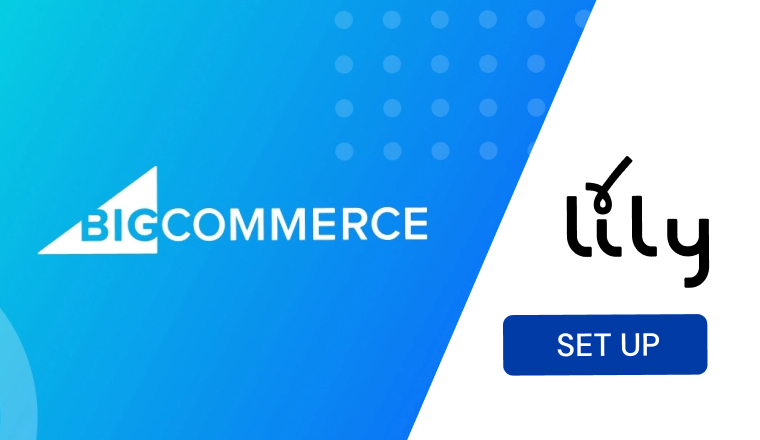 How to set up a loyalty and rewards program on BigCommerce?